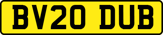 BV20DUB