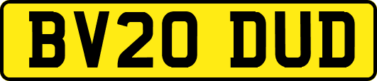 BV20DUD