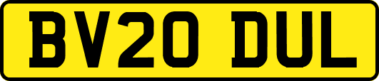 BV20DUL