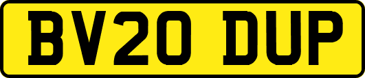 BV20DUP