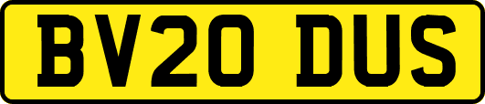 BV20DUS