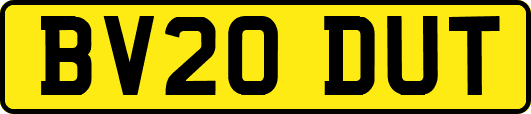 BV20DUT