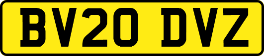 BV20DVZ