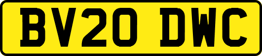 BV20DWC