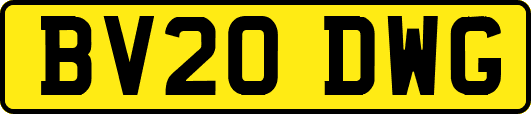 BV20DWG