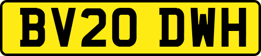 BV20DWH