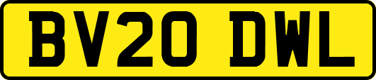 BV20DWL