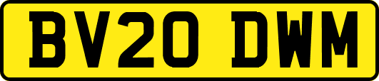 BV20DWM