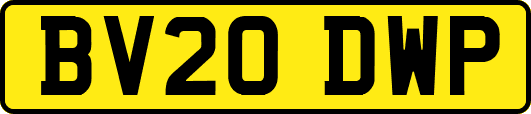 BV20DWP