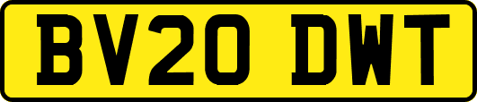 BV20DWT