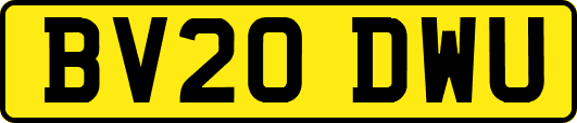 BV20DWU
