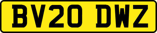 BV20DWZ