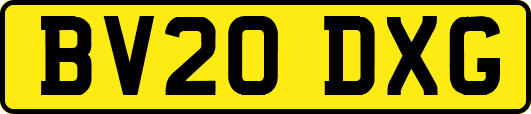 BV20DXG