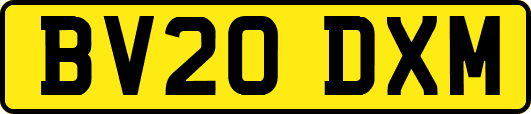 BV20DXM