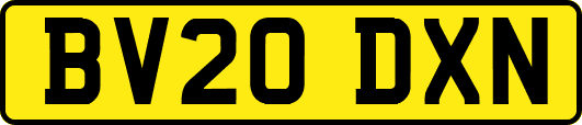 BV20DXN