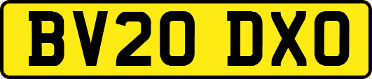 BV20DXO