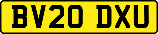BV20DXU