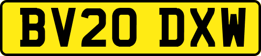 BV20DXW