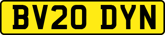 BV20DYN