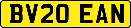 BV20EAN