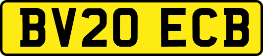 BV20ECB
