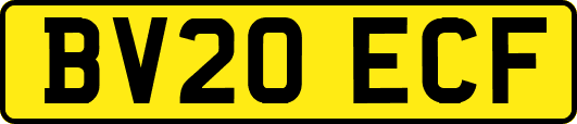 BV20ECF