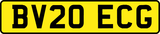 BV20ECG