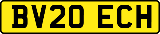 BV20ECH