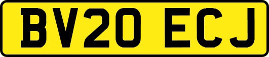 BV20ECJ