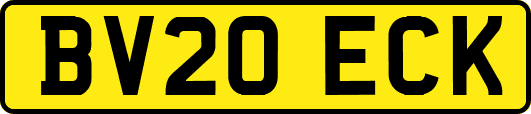 BV20ECK