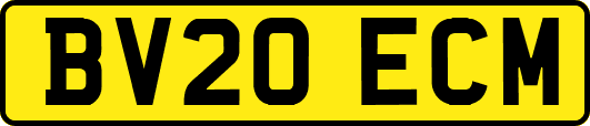 BV20ECM