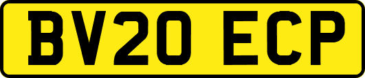 BV20ECP