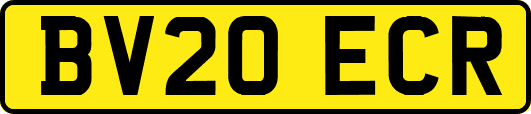 BV20ECR