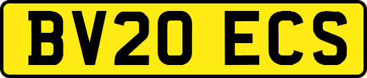 BV20ECS