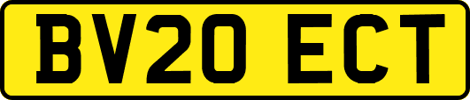 BV20ECT