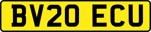 BV20ECU