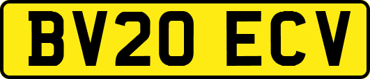 BV20ECV
