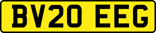 BV20EEG