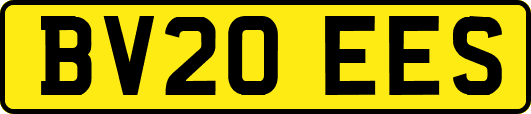 BV20EES