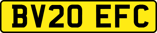 BV20EFC
