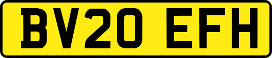 BV20EFH