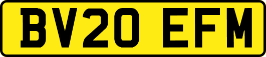 BV20EFM