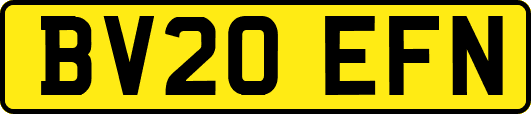 BV20EFN