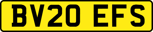 BV20EFS