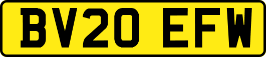 BV20EFW