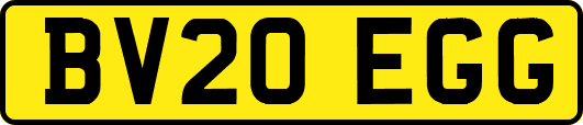 BV20EGG