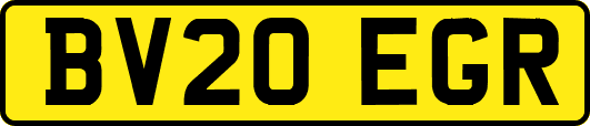BV20EGR