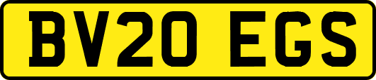 BV20EGS