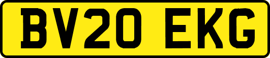 BV20EKG