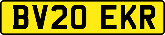 BV20EKR